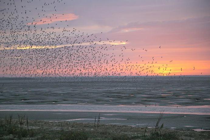 Lodge End Heacham Eksteriør billede